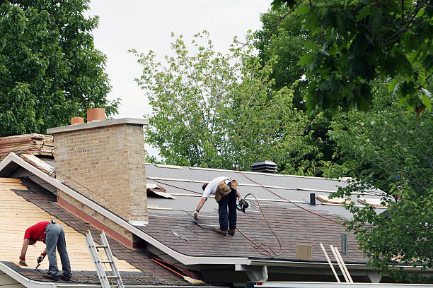 Best Metal Roofing Contractor  in Henryville, IN